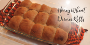 dinner rolls