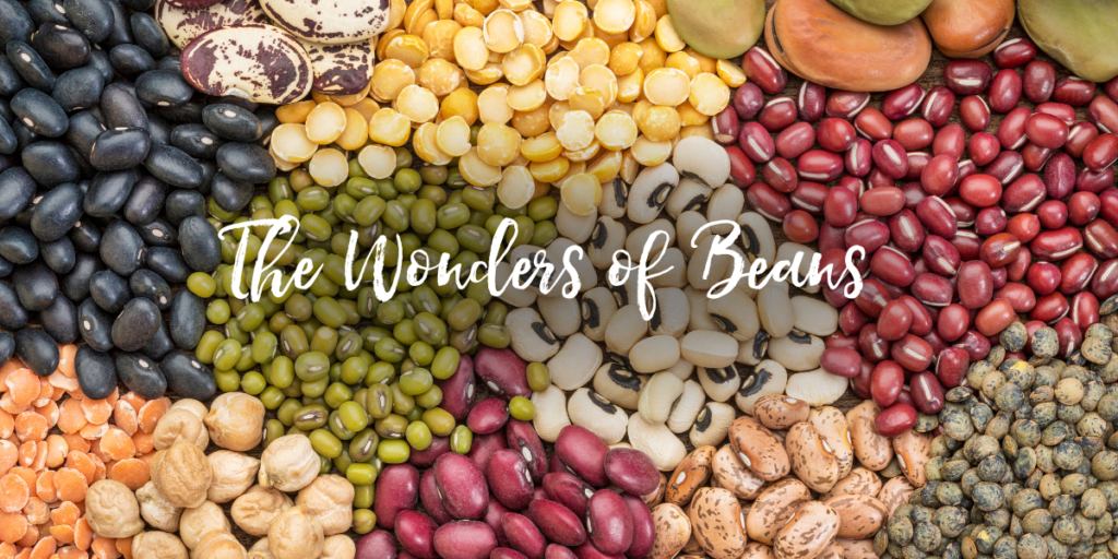 The Wonders of Beans